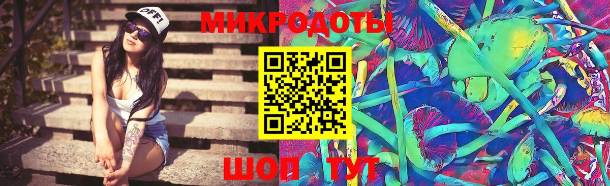 Павлово  Галлюциногенные грибы Psilocybe  Вход с VPN 